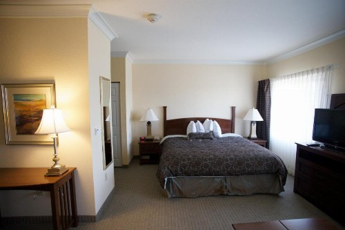 Staybridge Suites San Antonio Sea World an IHG Hotel - image 2