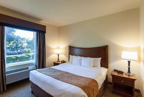 Comfort Suites San Antonio North - Stone Oak - image 14