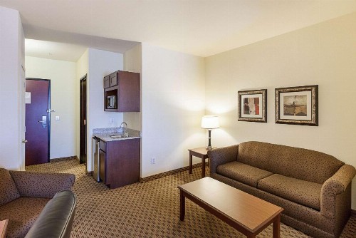 Comfort Suites San Antonio North - Stone Oak - image 23