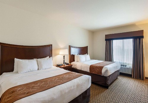 Comfort Suites San Antonio North - Stone Oak - image 28