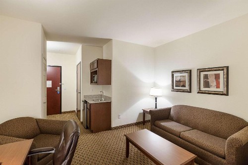 Comfort Suites San Antonio North - Stone Oak - image 3
