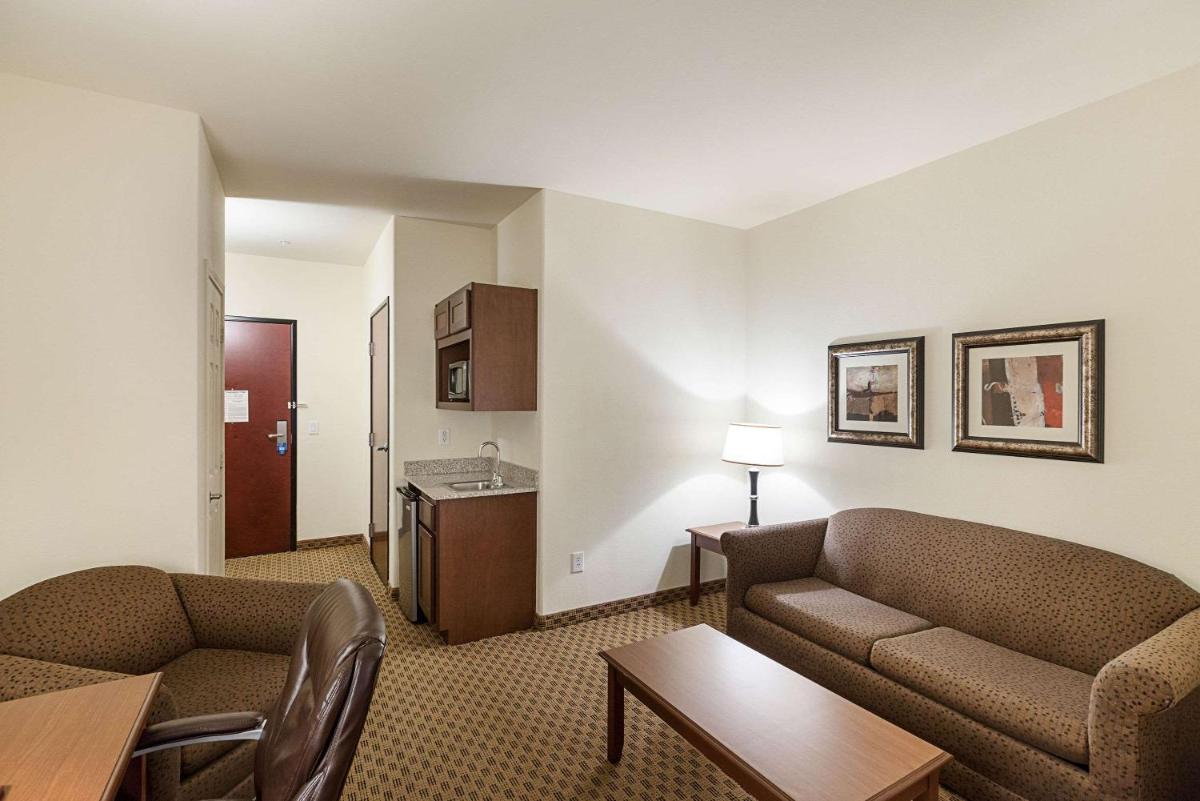 Comfort Suites San Antonio North - Stone Oak - image 3
