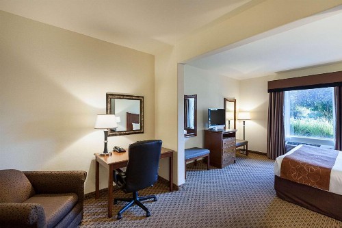 Comfort Suites San Antonio North - Stone Oak - image 7