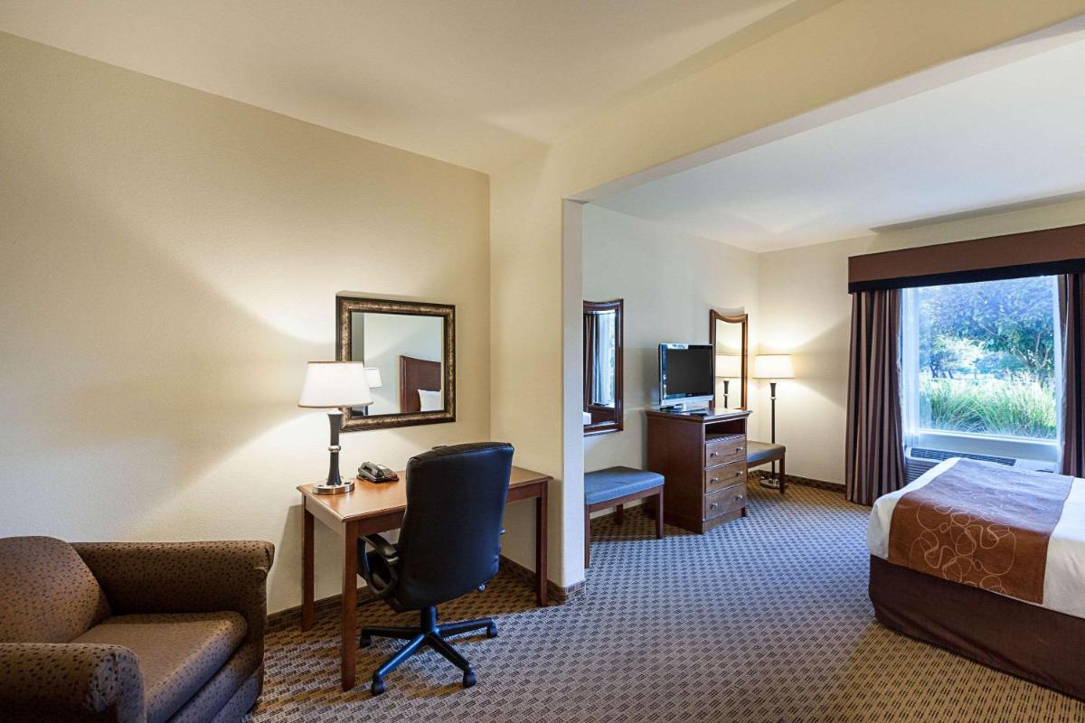 Comfort Suites San Antonio North - Stone Oak - image 7