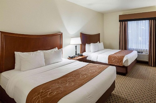 Comfort Suites San Antonio North - Stone Oak - image 9