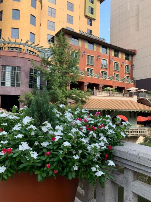 Hotel Valencia Riverwalk - image 4