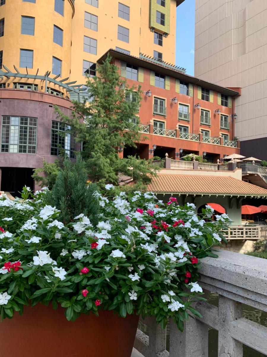 Hotel Valencia Riverwalk - image 4