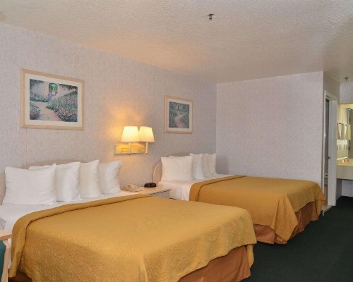 Econo Lodge Downtown South - image 17