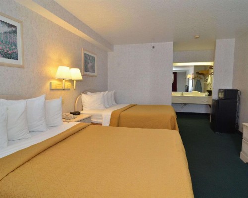Econo Lodge Downtown South - image 27