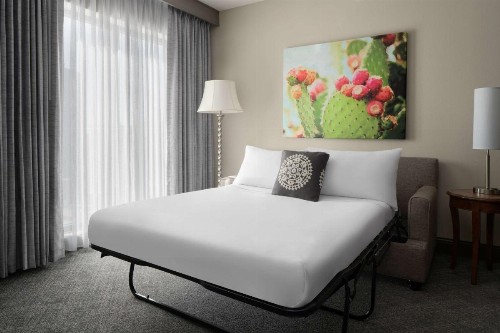 Embassy Suites San Antonio Riverwalk-Downtown - image 30