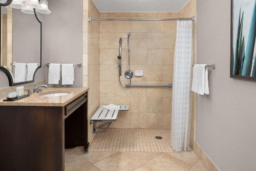 Embassy Suites San Antonio Riverwalk-Downtown - image 35