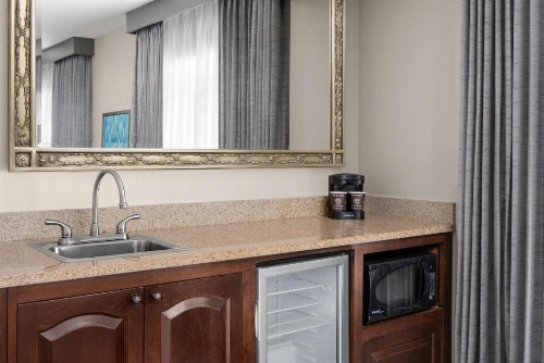 Embassy Suites San Antonio Riverwalk-Downtown - image 37