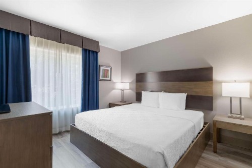 Best Western Plus Downtown North - image 34