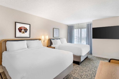Sonesta ES Suites San Antonio Downtown Alamo Plaza - image 22