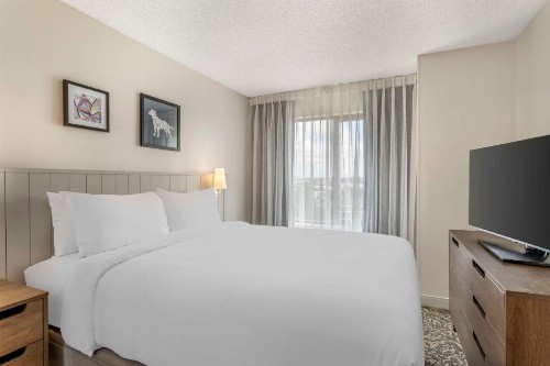 Sonesta ES Suites San Antonio Downtown Alamo Plaza - image 35