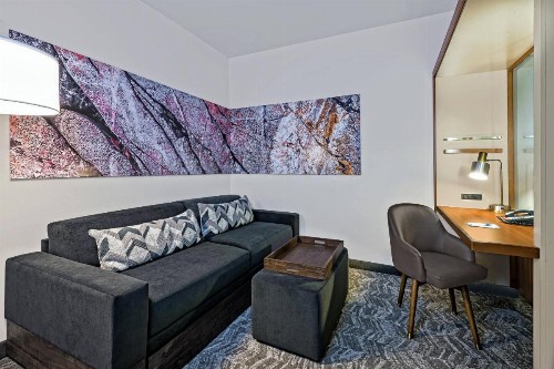 SpringHill Suites by Marriott San Antonio SeaWorld®/Lackland - image 39