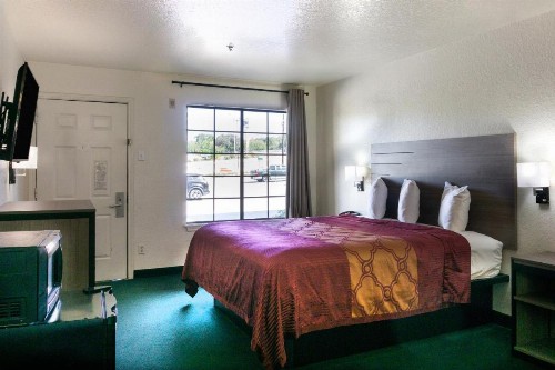 OYO Inn & Suites Medical Center San Antonio - image 20
