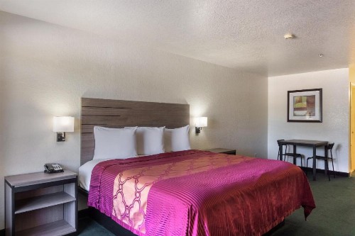 OYO Inn & Suites Medical Center San Antonio - image 21