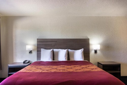 OYO Inn & Suites Medical Center San Antonio - image 26