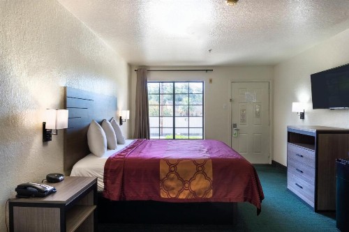 OYO Inn & Suites Medical Center San Antonio - image 28