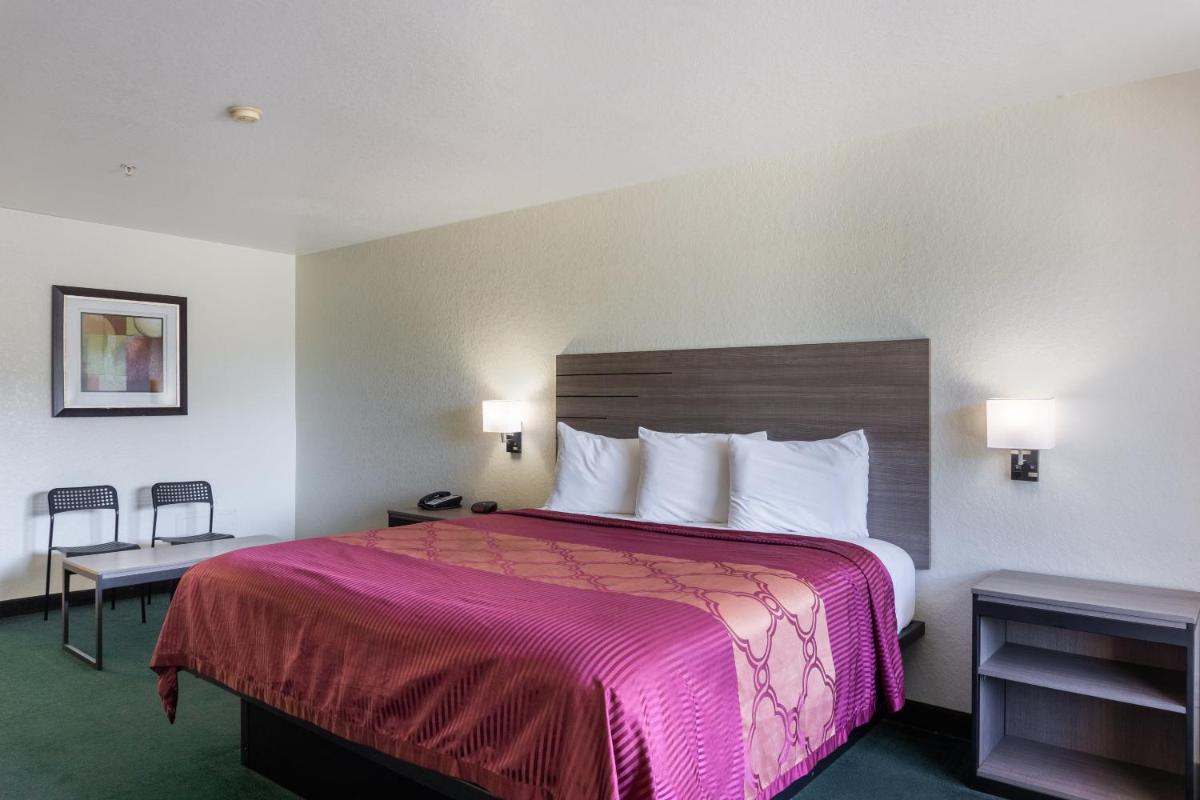 OYO Inn & Suites Medical Center San Antonio - image 4