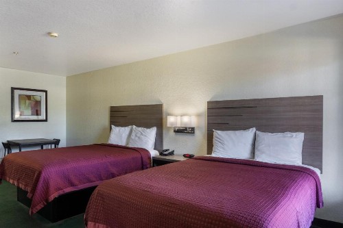 OYO Inn & Suites Medical Center San Antonio - image 45
