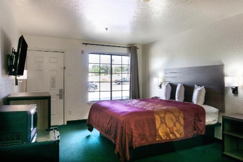 OYO Inn & Suites Medical Center San Antonio - image 5