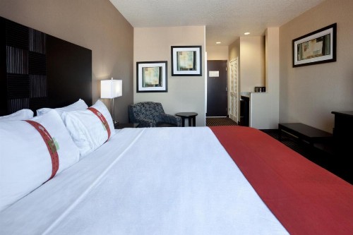 Holiday Inn San Antonio North Stone Oak Area an IHG Hotel - image 10
