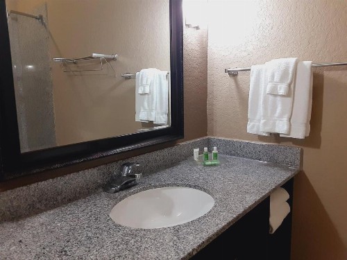 Holiday Inn San Antonio North Stone Oak Area an IHG Hotel - image 13