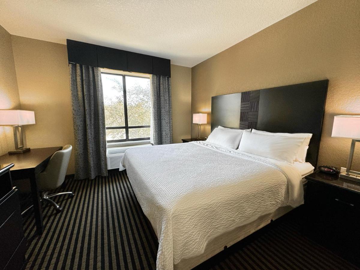 Holiday Inn San Antonio North Stone Oak Area an IHG Hotel - image 2