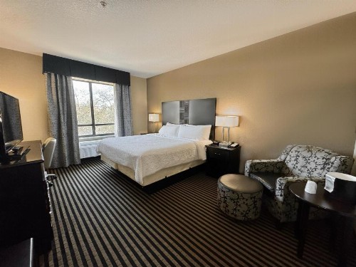 Holiday Inn San Antonio North Stone Oak Area an IHG Hotel - image 20