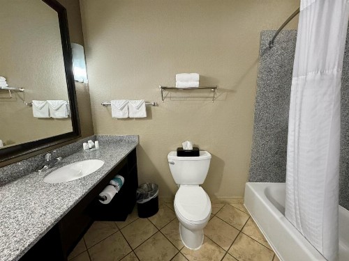 Holiday Inn San Antonio North Stone Oak Area an IHG Hotel - image 24