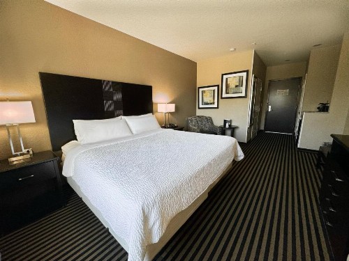 Holiday Inn San Antonio North Stone Oak Area an IHG Hotel - image 30