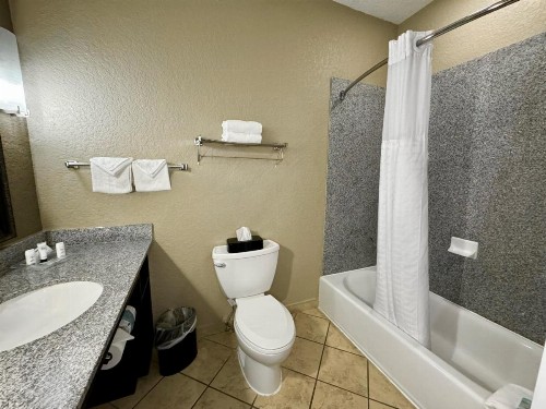 Holiday Inn San Antonio North Stone Oak Area an IHG Hotel - image 35