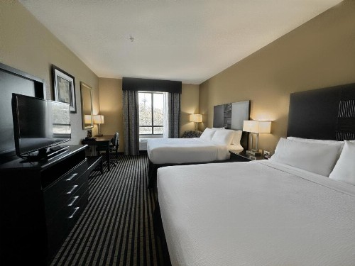 Holiday Inn San Antonio North Stone Oak Area an IHG Hotel - image 6