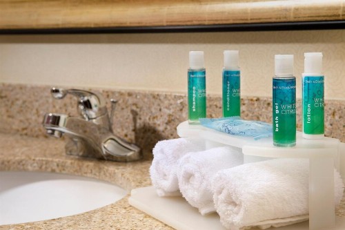 Holiday Inn Express & Suites San Antonio West Sea World Area an IHG Hotel - image 18
