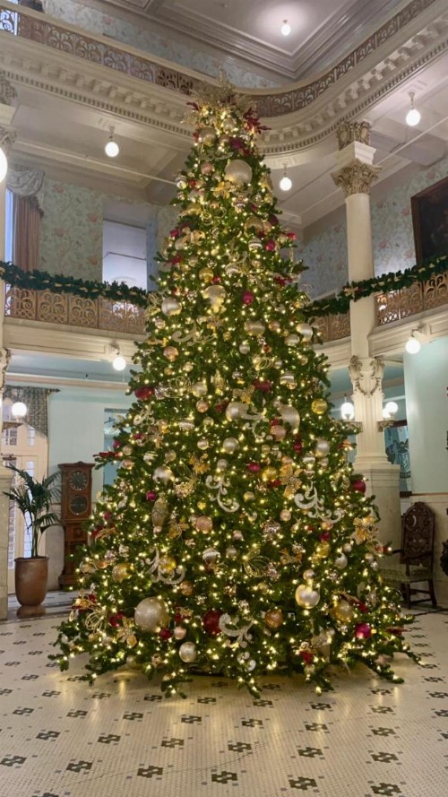 Menger Hotel - image 2