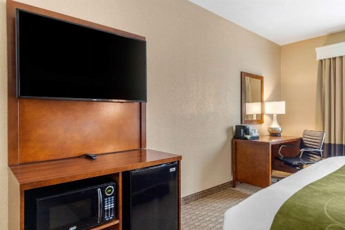 Comfort Suites Airport North - image 18