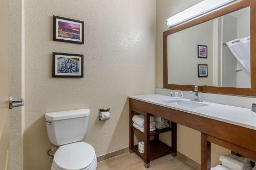 Comfort Suites Airport North - image 19