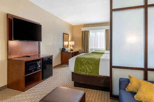 Comfort Suites Airport North - image 24