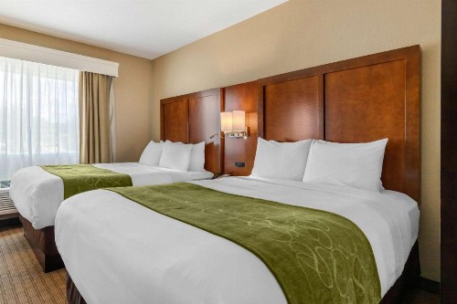Comfort Suites Airport North - image 26
