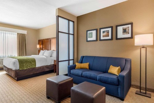Comfort Suites Airport North - image 29