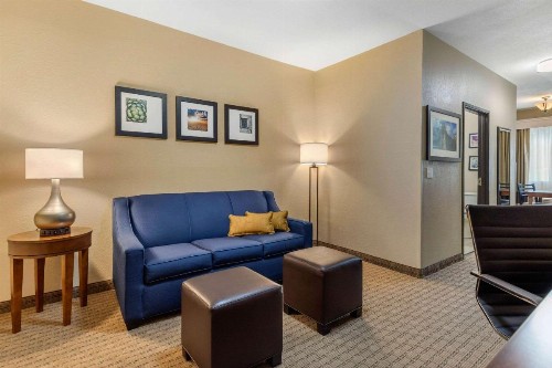 Comfort Suites Airport North - image 30