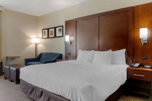 Comfort Inn & Suites Near Six Flags & Medical Center - image 12