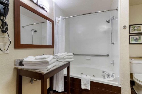 Comfort Inn & Suites Near Six Flags & Medical Center - image 14