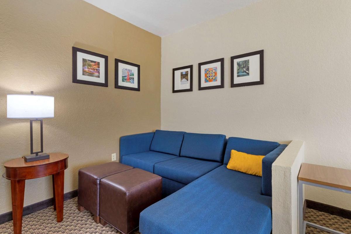 Comfort Inn & Suites Near Six Flags & Medical Center - image 2