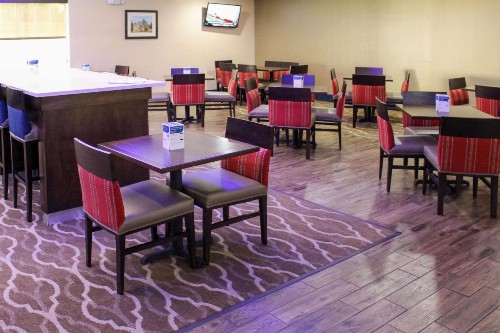 Comfort Inn & Suites Near Six Flags & Medical Center - image 28