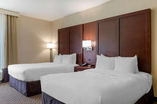 Comfort Inn & Suites Near Six Flags & Medical Center - image 30