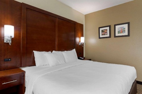 Comfort Inn & Suites Near Six Flags & Medical Center - image 35
