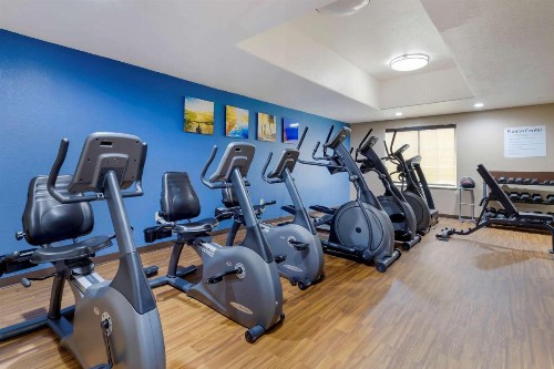 Comfort Inn & Suites Near Six Flags & Medical Center - image 37